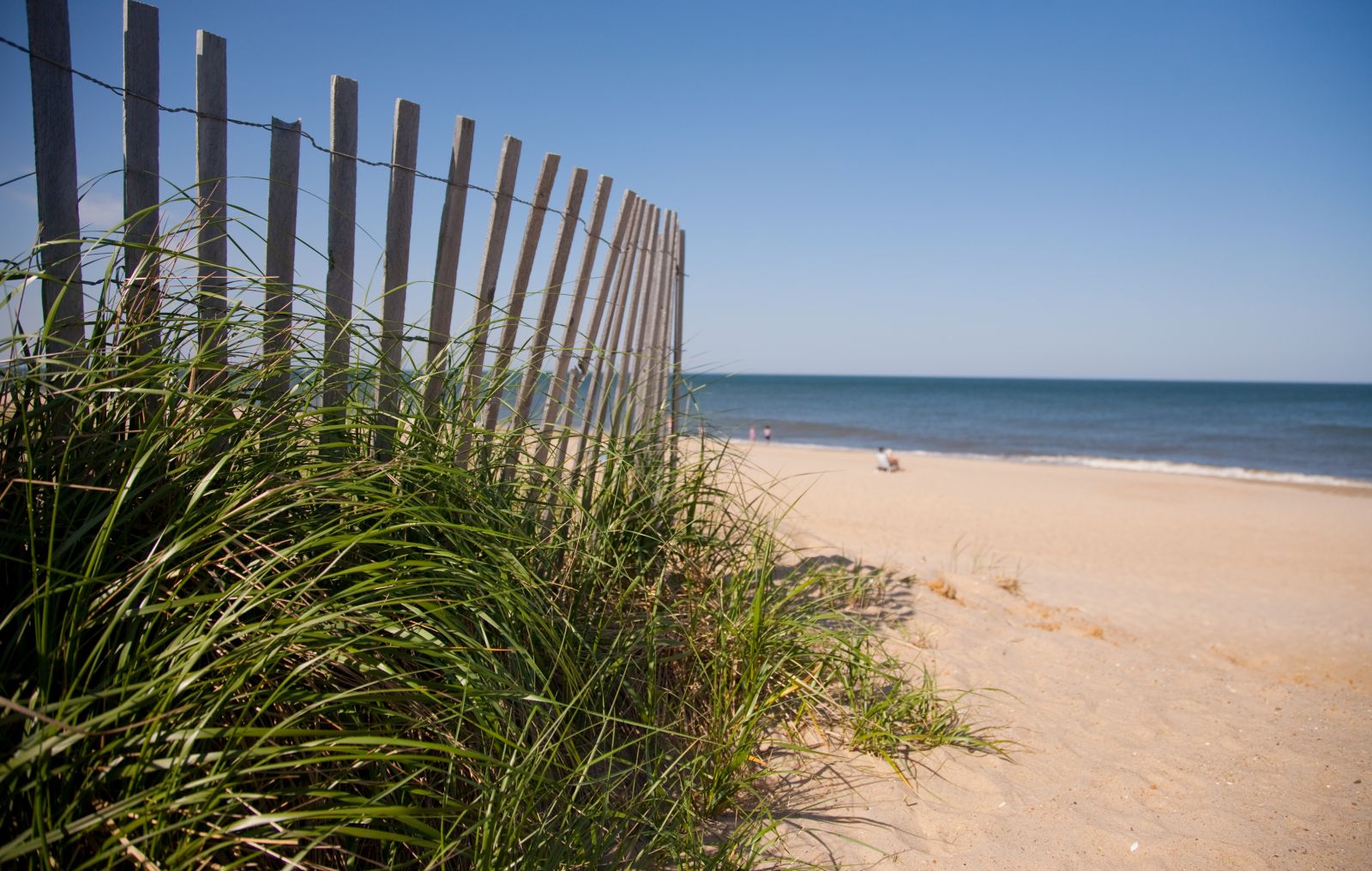 Personals in dewey beach delaware